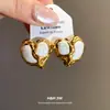 Pendientes Colgantes de Acero Inoxidable con Aguja, Goteo de Aceite, Corazón, Gota de Agua, Pendientes de Lujo Ligero de Gama Alta, Accesorios para Orejas Versátiles de Moda Europea y Americana