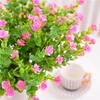 7 garfos 35 olhos eucalipto rosa pequena flor de lótus pequena planta folha de dinheiro decoração de engenharia simulação flor falsa flor de plástico