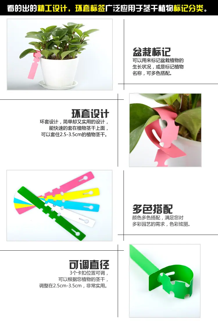 52 拷贝