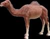 Lámpara led escénica para exteriores con modelado de animales resina acero vidrio lámpara de paisaje 3D elefante flamenco jirafa