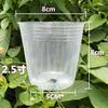 Taza de Nutrición Taza para Plántulas Cultivo de Flores y Taza para Trasplante de Plántulas Cultivo de Orquídeas Maceta Transparente Naranja Ombligo Engrosada