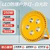 Luz à Prova de Explosão LED Luz de Túnel Baixa Tensão 12V24V36V Posto de Gasolina Armazém Fábrica Iluminação de Inundação 220V50W100W