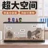 Gaiola de Hamster com Tampa Acrílico Transparente Combinação Super Espaço Grande Gaiola Ornamental Paisagem para Iniciantes Criativa Luxuosa Villa