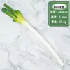 Modelo de vegetal de simulação PU pimenta alface repolho chinês berinjela cebola cogumelo brócolis modelo de adereços decoração de sala
