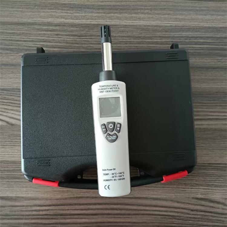温湿度检测仪 (1)