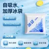 Bolsa de hielo para entrega exprés, autoabsorbente de agua, aislada para llevar, alimentos frescos y uso doméstico, bolsa de almacenamiento en frío reutilizable
