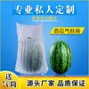 Sacos de Coluna de Ar de Melancia Personalizados de 9 Colunas Atacado Coluna de Bolhas Embalagem de Transporte de Frutas Amortecimento Absorção de Choque de Ar Sacos de Frutas Espessados
