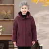 Casaco de inverno acolchoado de algodão quente para mulheres de meia-idade e idosas, novo, para avós, inverno, mãe