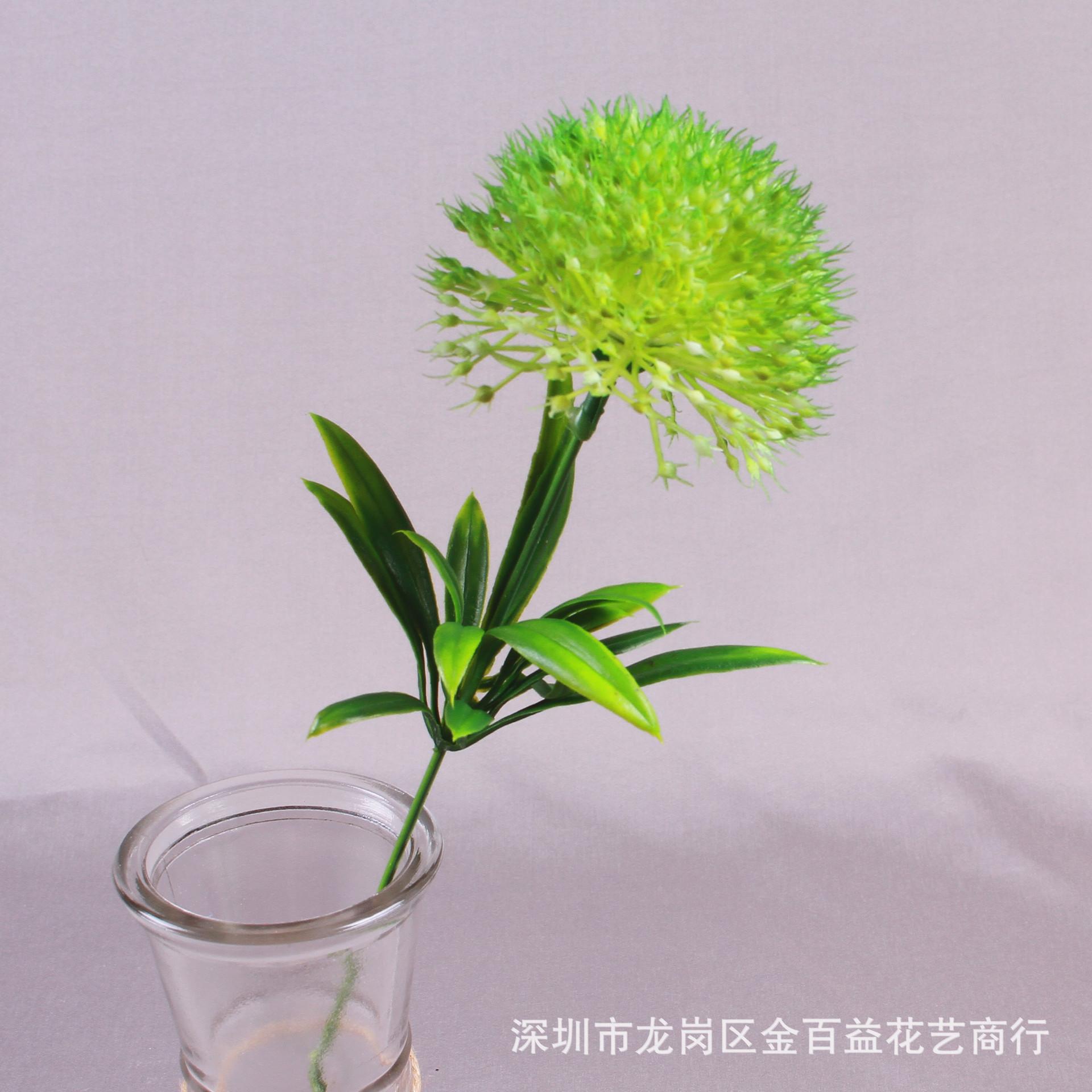 IMG_8556_副本.jpg