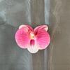 Película de Simulación de Impresión 3D Cabeza de Flor de Phalaenopsis Tarjeta para el Cabello Rojo de Internet Regalo de Acompañamiento para Boda Caja de Dulces Flor Falsa Decorativa Hecha a Mano