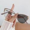 Moda Gafas Nuevas que Cambian de Color con Luz Anti-Azul Marco de Tendencia Ojo de Gato Europeo y Americano Espejo Plano Diamantes de Alto Nivel para Mujer
