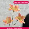 3 Flores de Lirio Simulación 3D Pequeño Libro Rojo Mismo recomendar Boda Decoración de Boda Flor Ventana Fotografía Paisaje