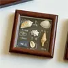 Ornamento de Porta-Retrato de Concha Natural de Yantai, Porta-Retrato com Espécime de Concha, Decoração de Mesa, Presente de Weihai Dalian Hainan Sanya