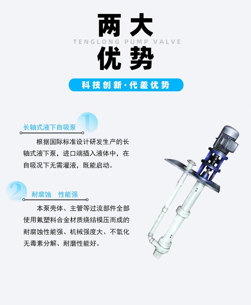 FYH氟塑料液下泵_02