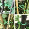 Clip para fijar vides, soporte para tallos de plantas trepadoras, herramientas de jardín, hebilla en forma de 8, hebilla de jardinería multifuncional