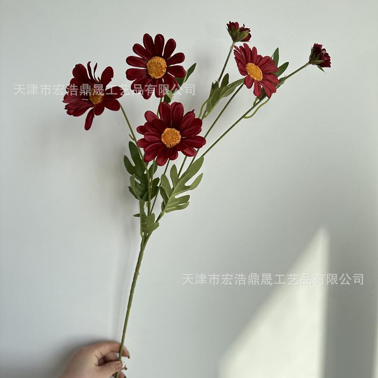 微信图片_202303151641295_副本