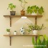 Luz Cálida LED Luz para Plantas Luz de Techo Invernadero de Verduras Luz de Crecimiento para Plantas de Interior Soporte para Flores Suculentas Luz de Crecimiento Venta al por Mayor