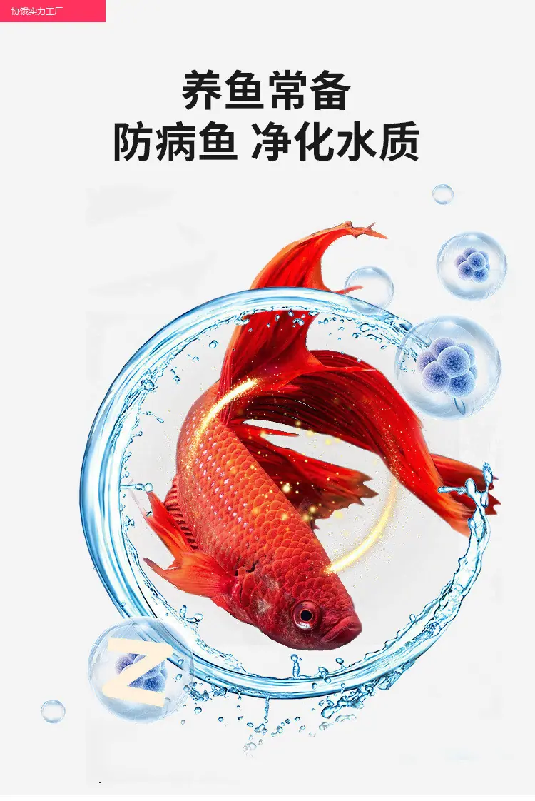 4ad30fe6-a2e2-466d-b2ad-fff17b2eb14d.jpe