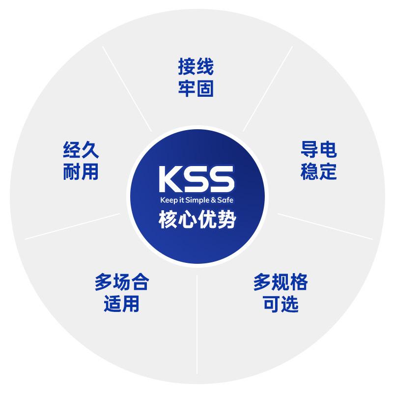 R型端子-0003