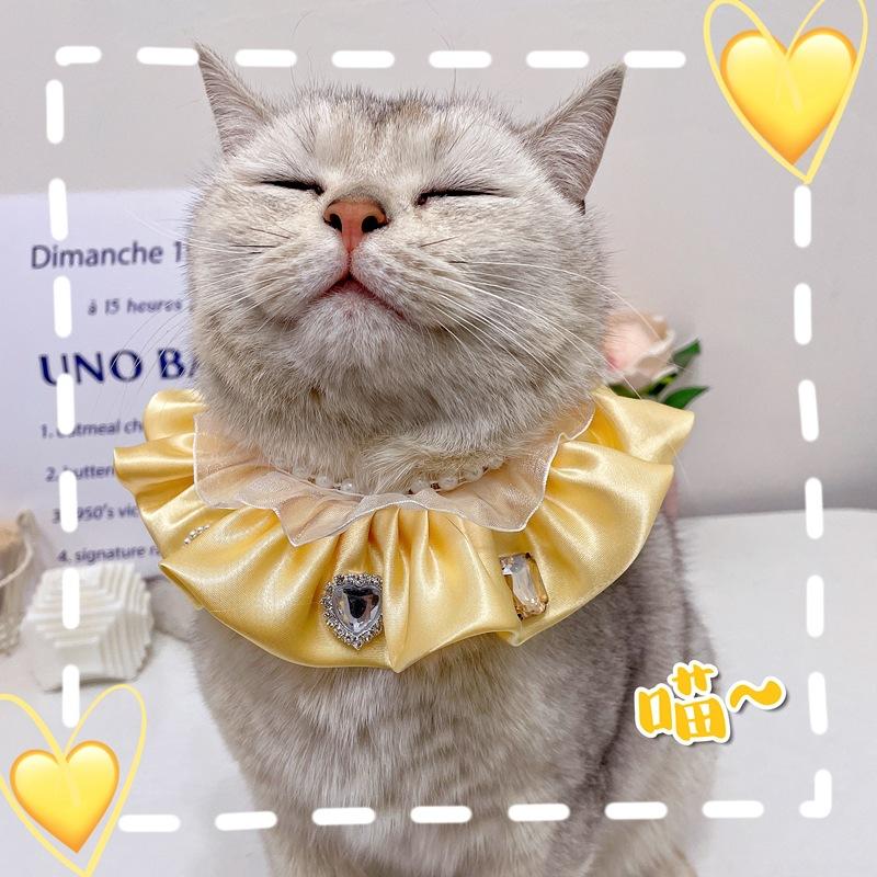 IMG_6506(20230317-225552)_副本