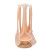 Nuevo Set de Utensilios de Cocina de Silicona de Colores de 7 piezas con Colgador de Plástico para Utensilios de Cocina Bolsa de Silicona Utensilios de Cocina de Nailon Cuchara de Silicona Espátula de Silicona