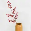 12 Bolas Fruta Grande Simulación Bayas de Acebo Fruta del Dinero Fruta Roja Baya Roja Arreglo Floral Decoración Jarrón Arreglo Floral Paisajismo Hogar