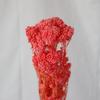 Yunnan Blanqueado Flor Eterna Flor de Arroz Flor Preservada Flor de Mijo Hierba de Arroz DIY Decoración del Hogar Flor de Oficina