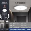 Luminária de Teto para Escadas, Corredores, Hall de Entrada, Varandas, Sensor de Movimento Infravermelho Automático por Radar para Corpo Humano, LED Especial