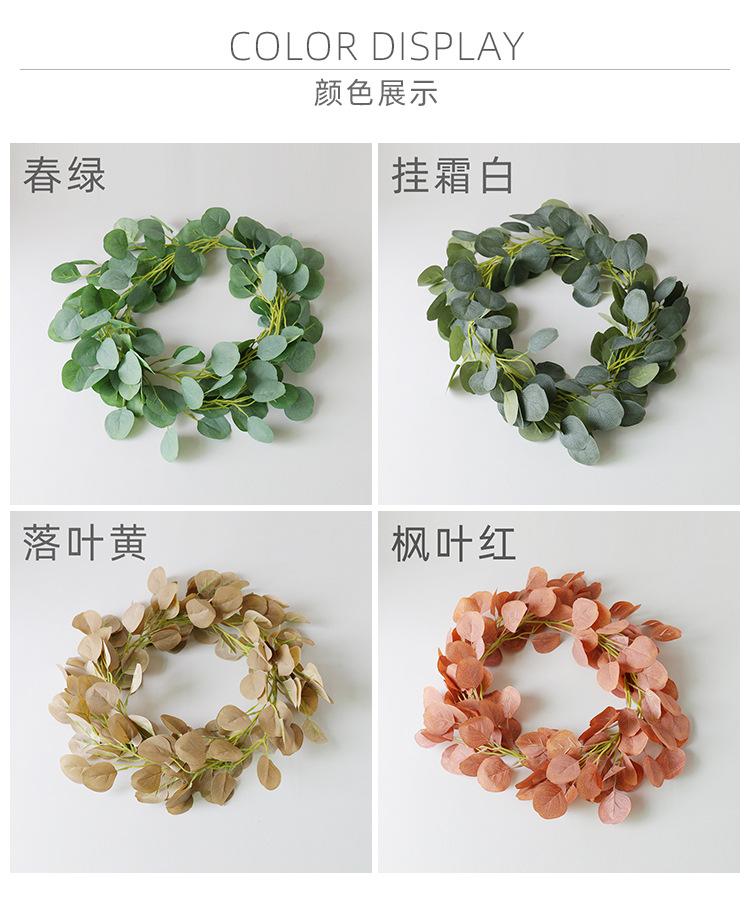 尤加利藤条_03.jpg