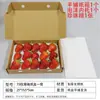 Caja de embalaje para fresas 10/12/15/20 caja transparente desechable para fresas Caja transparente a prueba de golpes exprés para fresas