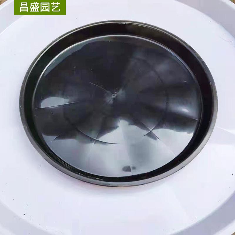 微信图片_202109141342165.jpg