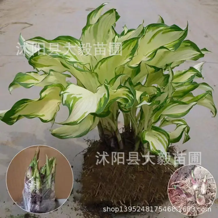 微信图片_20240501151045