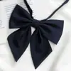Uniforme JK Color Sólido Lazo de Raíz de Pluma Corbata de Moño Estilo Universitario Femenino Camisa de Uniforme Estudiantil Traje de Vela Lazo Diagonal Chiyu