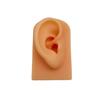 Herramientas Suaves para Limpiar los Oídos Artículos de Exhibición de Práctica Modelo de Simulación de Oído de Silicona Molde Invertido Exhibición Accesorios de Exhibición de Simulación de Acupuntos del Oído