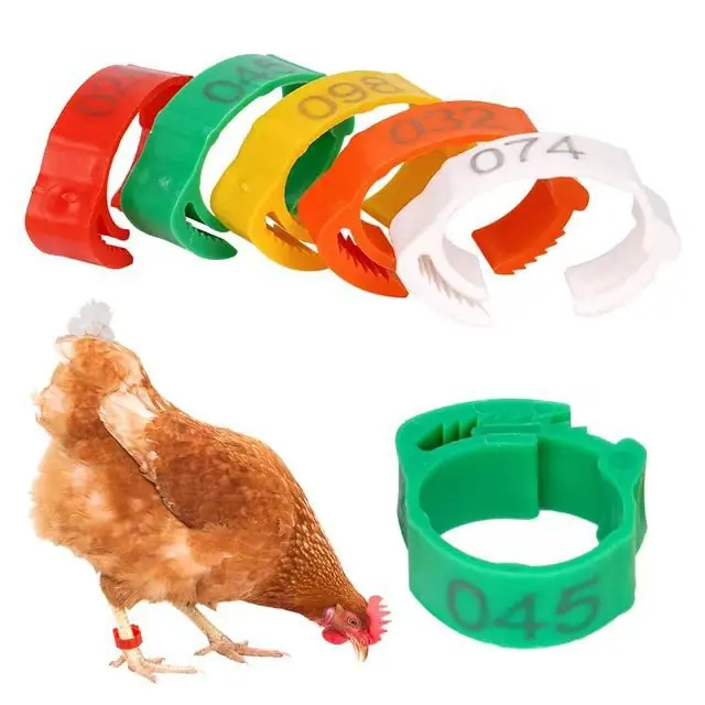 微信图片_20241230092427