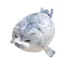 Muñeco Sello de Pareja de Comercio Exterior Transfronterizo Juguete de Peluche Jardín Marino Muñeco Almohada para Dormir de Niña Regalo para Niños