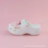 Pantuflas Perforadas Estilo Padre-Hijo para Uso en Exteriores, Zuecos de Playa Gruesos de Moda, Accesorios de Verano de Moda Estilo Ins al por Mayor
