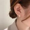 Aretes Casuales de Lujo Accesible con Concha Natural para Mujer 2025 Nuevo Diseño de Moda Aretes de Corazón Aretes Versátiles de Moda