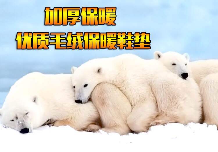 微信图片_20180711213758