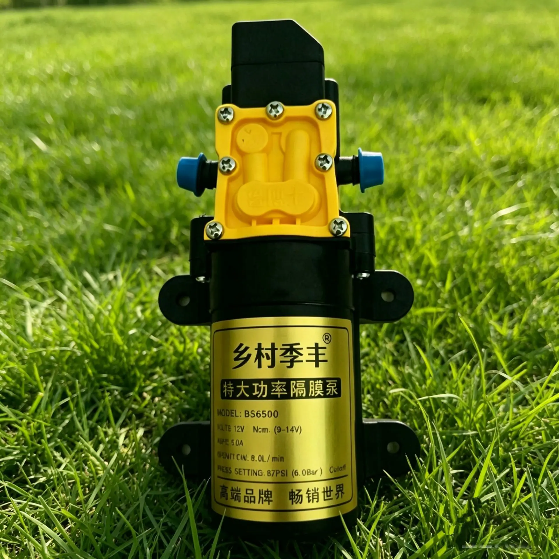 微信图片_20260607183700_757_3