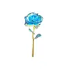 520 Caja de Linterna de Flor de Rosa con Lámina de Oro Flor Artificial Regalo Creativo para el Festival Qixi, Día de San Valentín, Día de la Madre, Día del Maestro