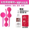 Productos Sexuales para Adultos para Mujeres, Recuperación Postparto, Bola de Estrechez Vaginal, Mancuerna Vaginal, Ejercicio de Partes Privadas, Ejercicio Muscular para Partes Privadas