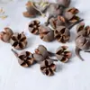 Decoraciones Navideñas, Piñas, Flores Secas, Adornos Creativos Hechos a Mano DIY de Material de Bosque, Decoraciones para Entorno de Jardín de Infancia