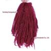 AliExpress TEMU Promoção Afro crespo cacheado Marley tranças cabelo grande peruca de lagarta