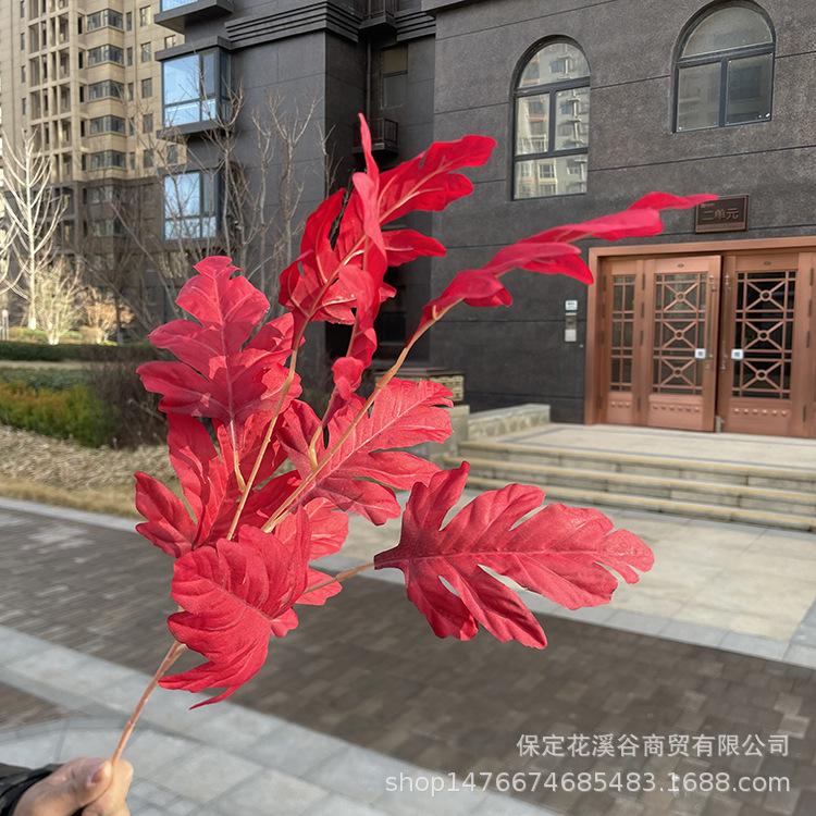 红色.JPG