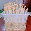 Charola Transparente Hidropónica para Brotes de Cacahuete para Jardinería Casera y Diario de Observación Estudiantil