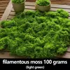 Adornos de Arreglo de Micro-Paisaje Biométrico, Musgo Artificial Decorativo, Bonsái Artificial, Césped de Musgo Falso, Césped para Paisajismo