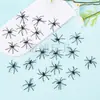 Aranha de Halloween algodão pequenas aranhas adereços truque paródia brinquedo simulação plástico aranha de pernas longas aranha de pernas finas