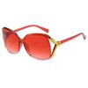 Gafas de Sol Ultraligeras de Montura Grande para Mujer, Protección Solar, Protección UV, Moda Retro, Gafas de Sol de Alta Definición, Gafas de Sol para Fotografía Callejera de Viaje