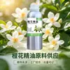 Extração por Destilação de Plantação de Óleo Essencial de Flor de Laranjeira de Planta Única, Matéria-Prima de Óleo Essencial de Planta Aromática, Óleo Essencial de Flor de Laranjeira, Óleo Essencial para Aromaterapia